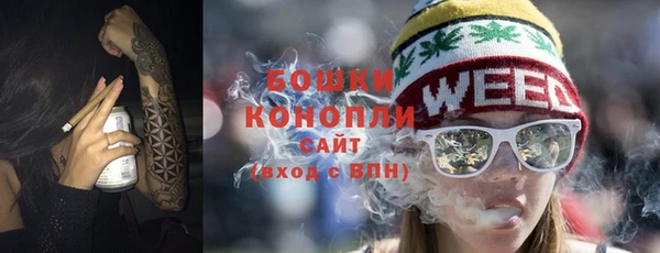 гидра Гусиноозёрск