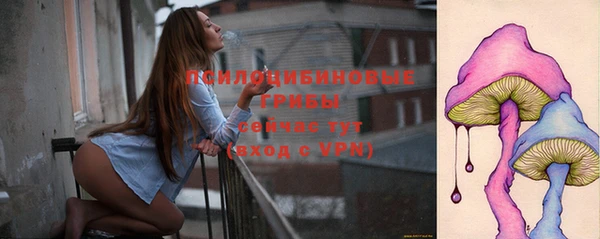 гидра Гусиноозёрск