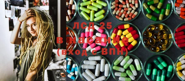 гидра Гусиноозёрск