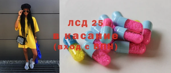 гидра Гусиноозёрск