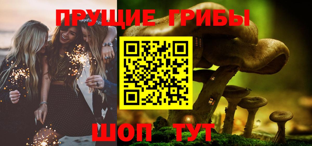 Галлюциногенные грибы MAGIC MUSHROOMS  Вход с VPN  Волхов 