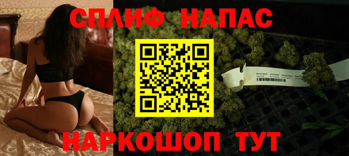 Канабис планчик  Конопля OG Kush  Марихуана сатива  Канабис Amnesia  Вход с VPN  Волхов 